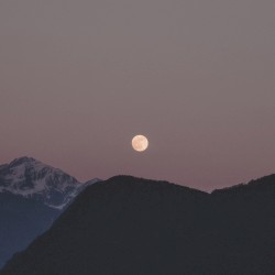 Eunoia