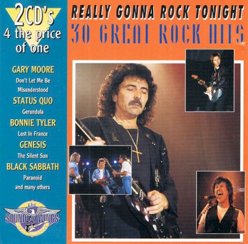 Really Gonna Rock Tonight: 30 Great Rock Hits