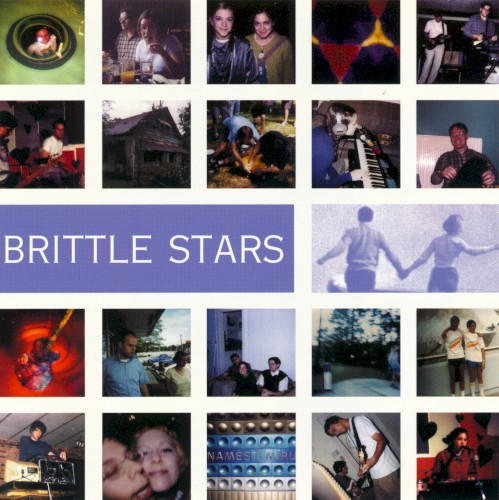 Brittle Stars
