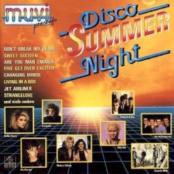 Disco Summer Night