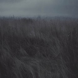 Burning Decay