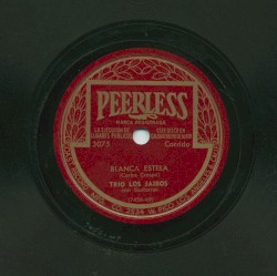 Blanca estela / Florecita