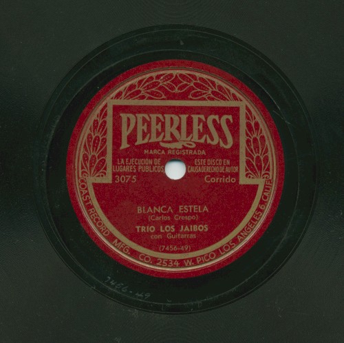 Blanca estela / Florecita