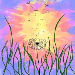 Milkweed