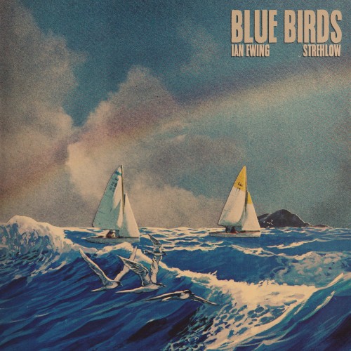 Blue Birds