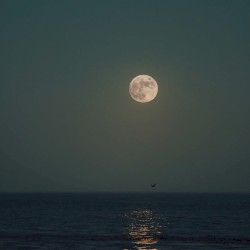 Moon