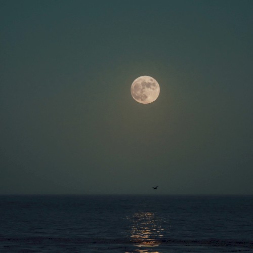 Moon