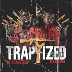 Traptized (remix)