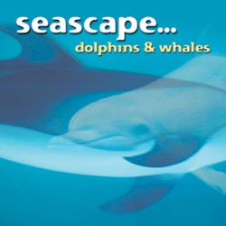 Seascape… Dolphins and Whales