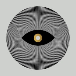 Transition LP