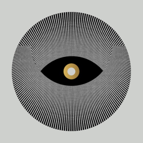 Transition LP