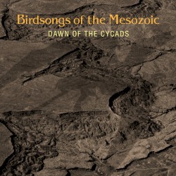 Dawn of the Cycads
