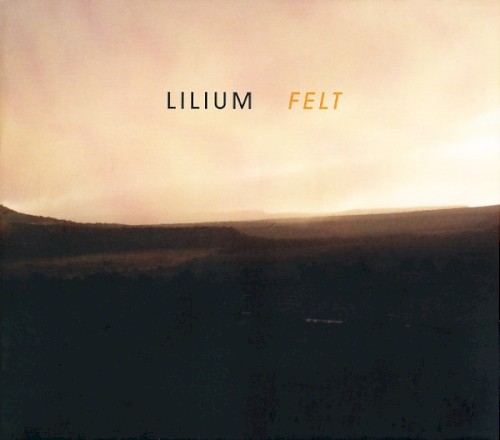 Felt