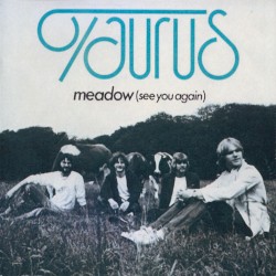 Meadow (See You Again)