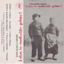 Viva Revolucion Galesa!