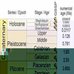Holocene