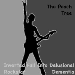 Inverted Fall Into Delusional Rockstar Dementia