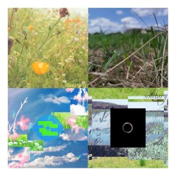 透明になれたら