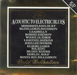 Acoustic to Electric Blues