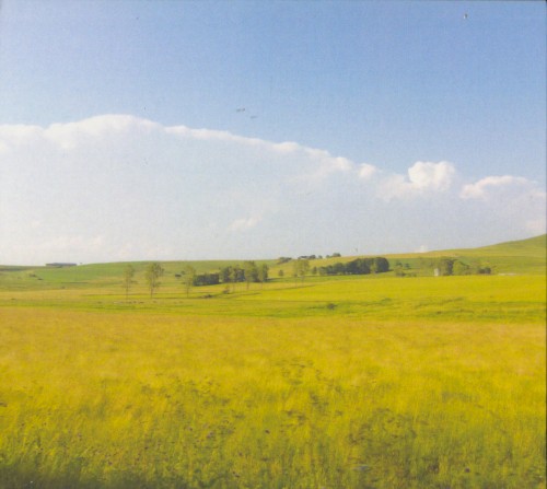 [untitled]