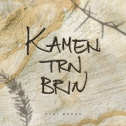 Kamen, trn in brin