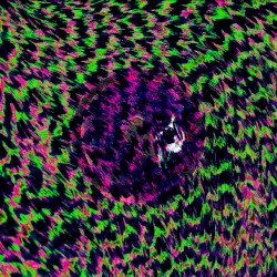 Short Walks At Night EP