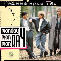 I Wanna Hold You
