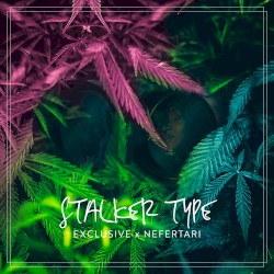 Stalker Type