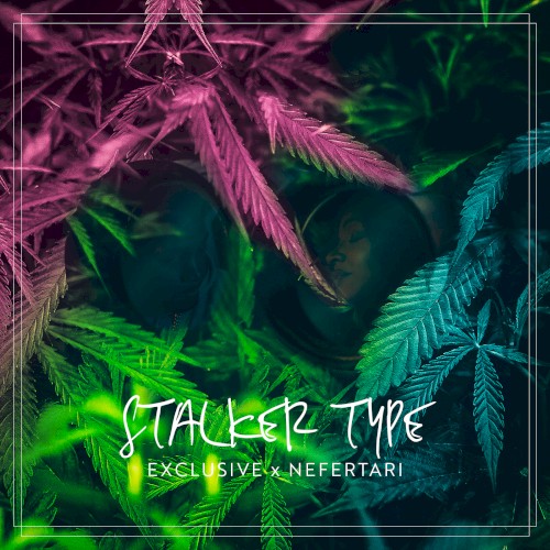 Stalker Type