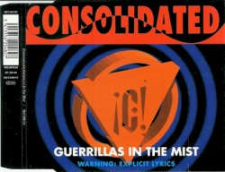 Guerrillas in the Mist