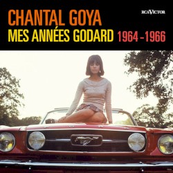 Mes Années Godard