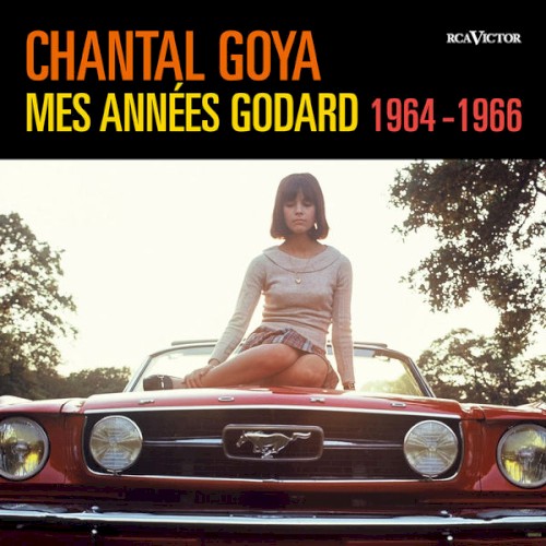 Mes Années Godard