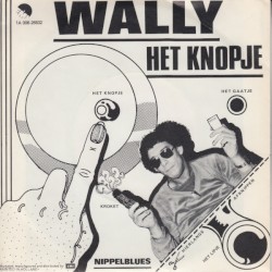 Het knopje
