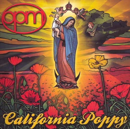 California Poppy