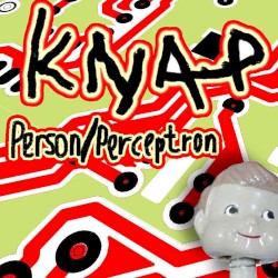Person Perceptron