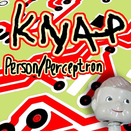 Person Perceptron