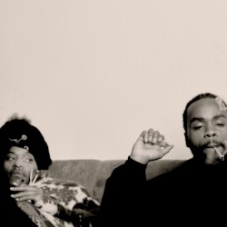Dollar Dr. Dream
