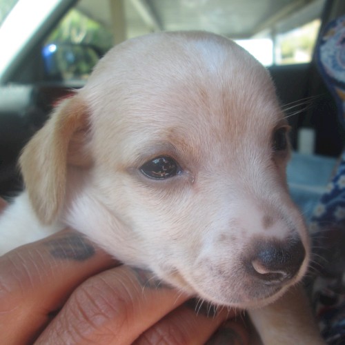 Welcome Home Tator~!