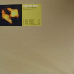 Solid Water: Remixes