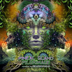 Pineal Gland Pilgrimage