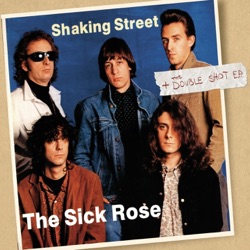 Shaking Street