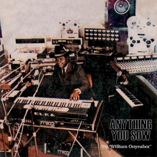 Anything You Sow