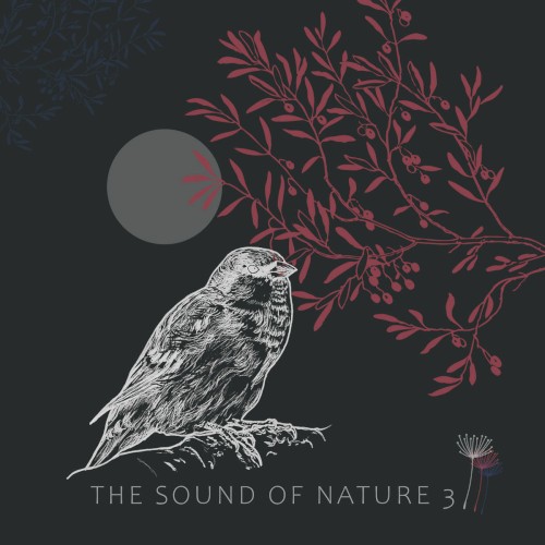 The Sound of Nature 3