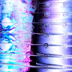 ｓｔｒｉｎｇｓ (demo)