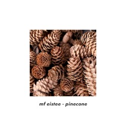 pinecone