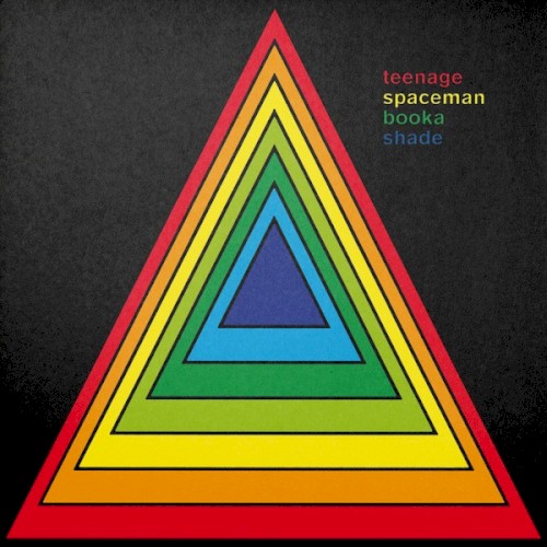 Teenage Spaceman