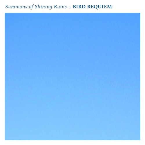 Bird Requiem