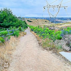 Morning Path