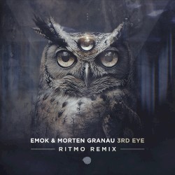 3rd Eye (Ritmo remix)