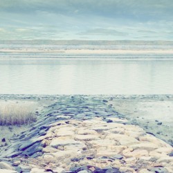 Meltwater